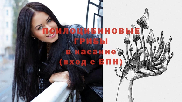 ПСИЛОЦИБИНОВЫЕ ГРИБЫ Абинск