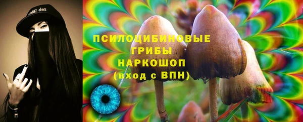 ПСИЛОЦИБИНОВЫЕ ГРИБЫ Абинск