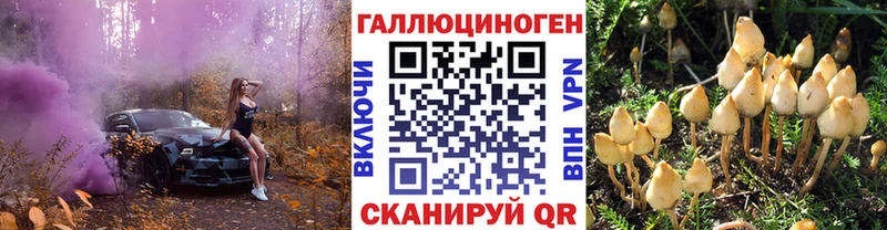купить наркоту  Серпухов  Псилоцибиновые грибы GOLDEN TEACHER 